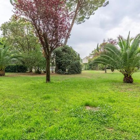 Ferienwohnung Cosy T3 - Jardin - Parking - Piscine Montpellier Exterior foto